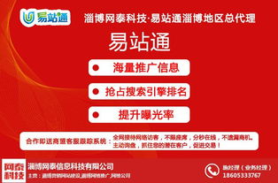 桓臺網(wǎng)絡(luò)推廣新選擇 淄博網(wǎng)泰科技引領(lǐng)專業(yè)高效的技術(shù)推廣服務(wù)